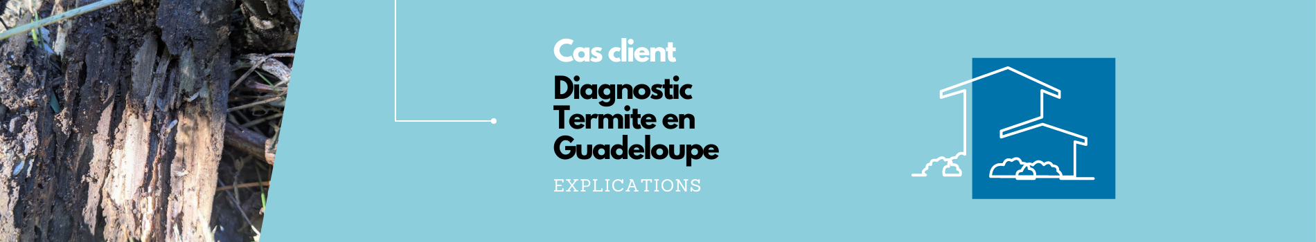 Diagnostic Termite en Guadeloupe